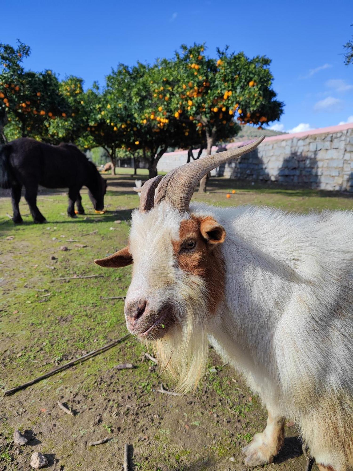 Quinta Da Ponte Das Hortas 1 Elvas Dış mekan fotoğraf